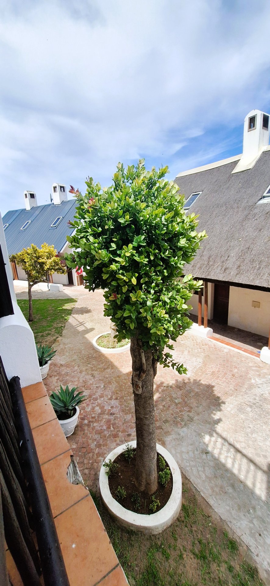 1 Bedroom Property for Sale in Witsand Western Cape